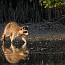 thumbs/IMG_1113.jpg
